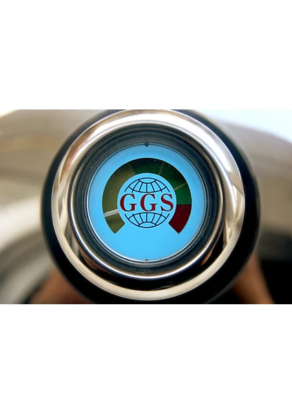 GGS Solingen Komfort Kızartma Tenceresi 22 cm - 2L - 2
