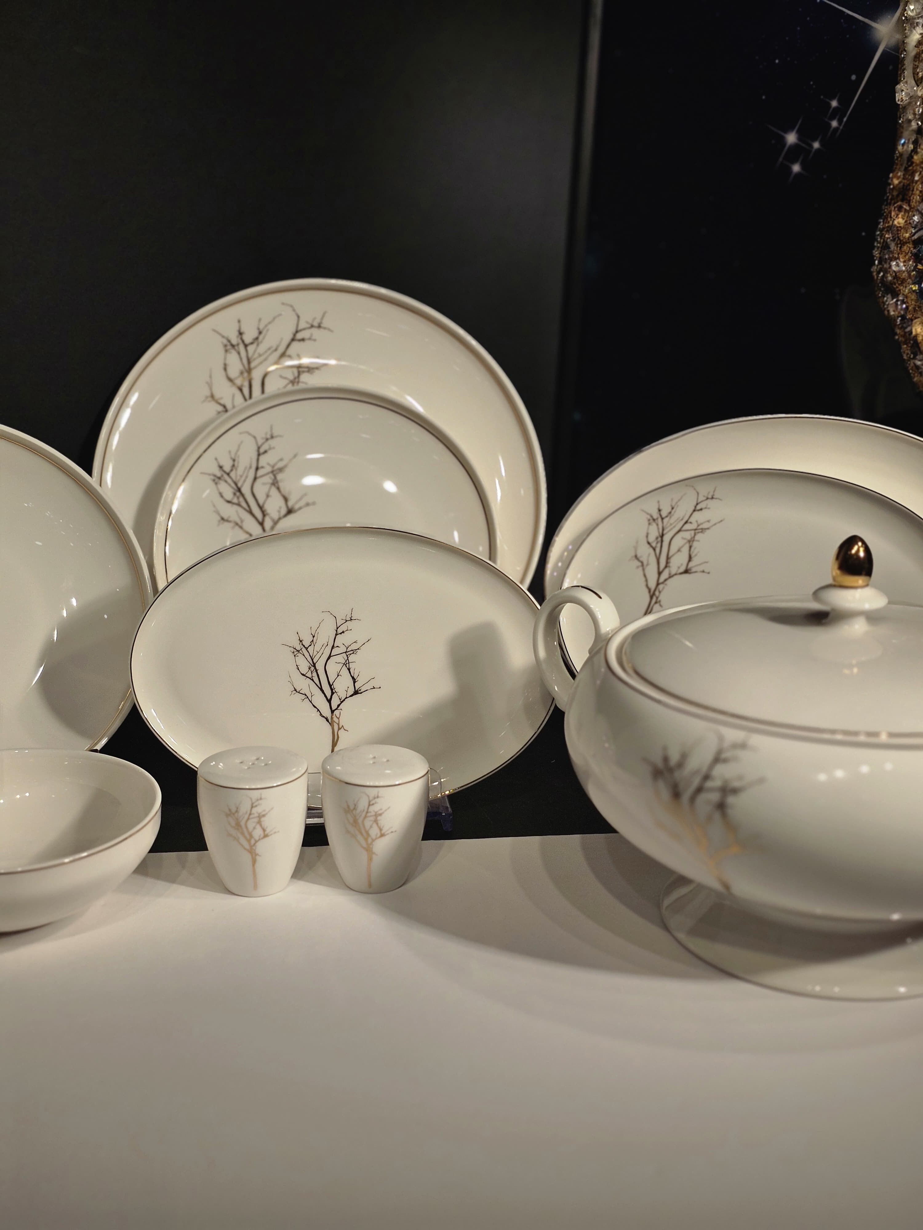 PRESTİGE COLLECTİONS . Yuvarlak 60 Parça Yemek Takımı Y-9004 - 6