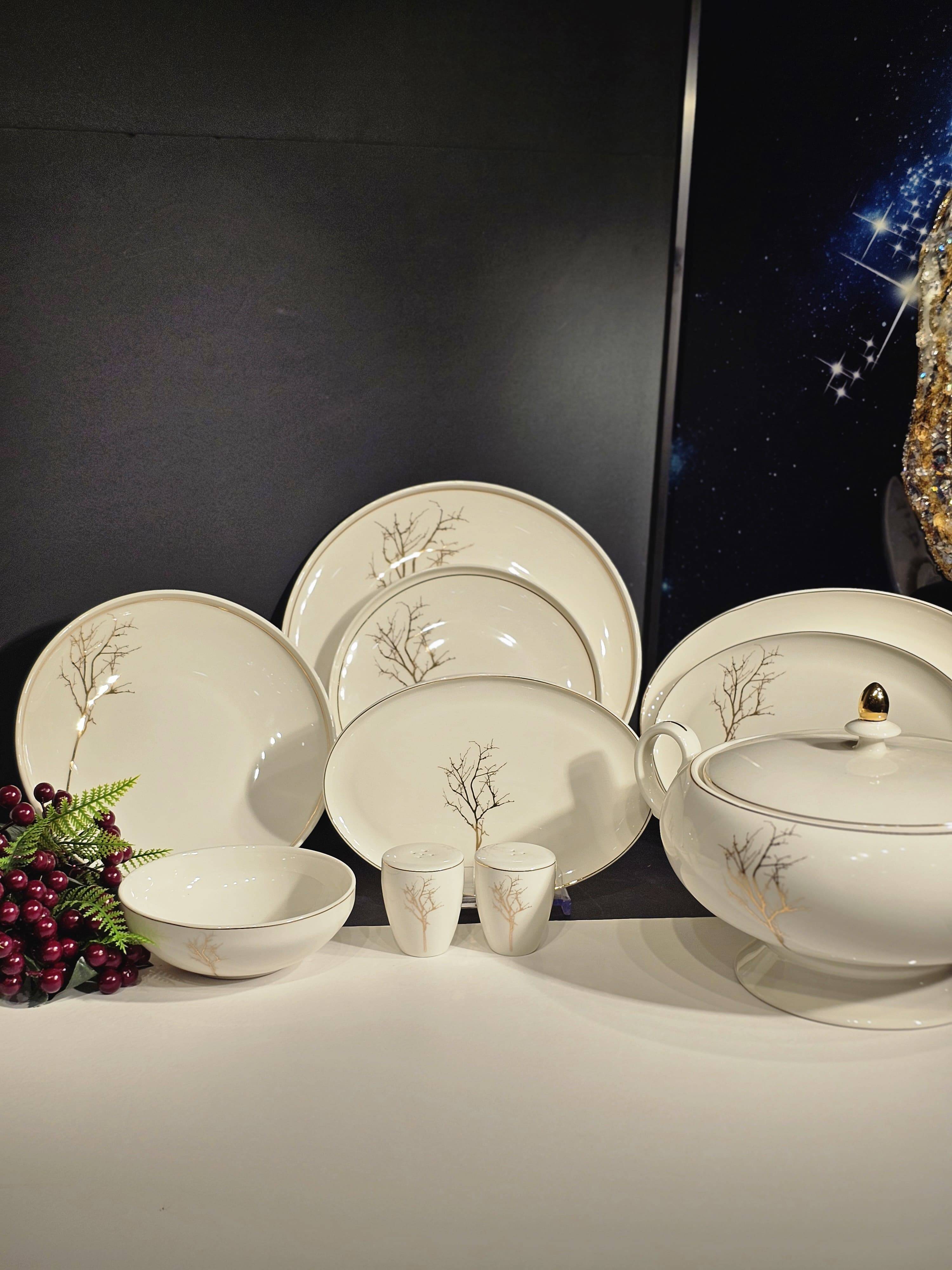 PRESTİGE COLLECTİONS . Yuvarlak 60 Parça Yemek Takımı Y-9004 - 5